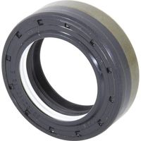 Ret茅n CI641734 CARRARO CI641734