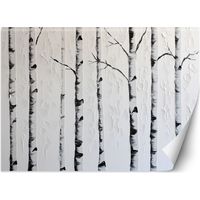 Fototapete Birkenwald 300x210 cm
