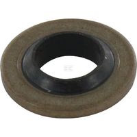 Unterlegscheibe Dichtung 6 TUFF TORQ 22190060000