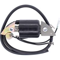 Bobine d'allumage pour moteur Honda G150 G200 G300 G400 30500-887-303 30560-883-015