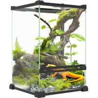 Terrarium en verre pour reptiles vivarium 12 L avec couvercle en treillis métallique, 20 x 20 x 30 cm, noir