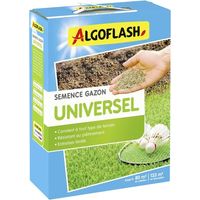 Semi algoflash universal 2 kg prato resistente
