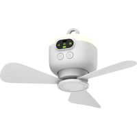 Mini ventilateur portable rechargeable 8000 mAh – 4 vitesses – Télécommande incluse – Pales amovibles – Pour extérieur – USB-C