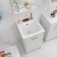 Lavapanni Domestica 45x50 completo bianco di Colavene