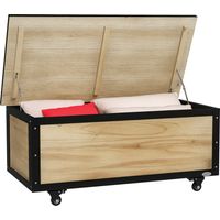 Panca Contenitore da 121L con 4 Rotelle e Maniglie e Acciaio, 100x50x43cm, Colore