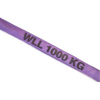 Eslinga redonda DIN EN 1492-2 circunferencia 3 m violeta capacidad de carga 1000 kg DOLEZYCH