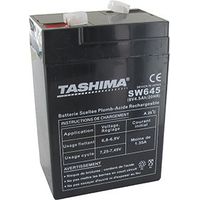 Batterie Tashima Gel/agm 6v, 4,5a Pour Lampe Torche Rechargeable, Alarme. L: 70, L: 48, H: 106mm, + à Gauche. - Batterie à Mettr