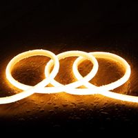 LED Streifen Neon Dimmbar 220V Rund SFLEX14 IP65 nach Maß Schnitt alle 100 cm 1 m Warmweiß