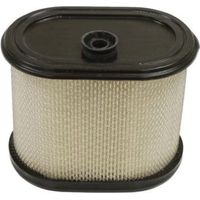 Filtro aria compatibile con tagliaerba rasarerba motore BRIGGS & STRATTON 695302