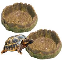 2 bols eau reptiles tortues terrestres amphibiens lézards grenouilles geckos