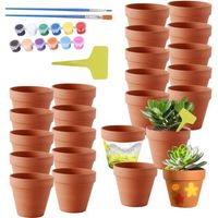 Petits Pots en Terre Cuite,24 Pcs 5X5 cm Mini Pots de Fleurs en Terre Cuite avec Peinture&Pinceaux&Étiquette,Pot de Fleur Terre Cuite avec Trou de Drainage,Pot Terre Cuite pour Succulent,Cactus