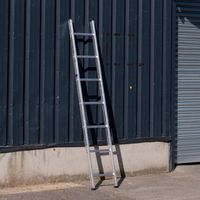 2.0m Trade Master Single Section Ladder
