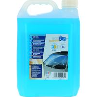 Lave-glace Toutes Saisons. 5 Litres - Budget