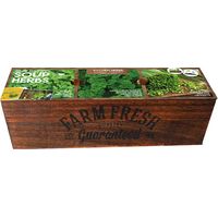 Kit prêt à pousser - Herbes à soupes