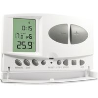 Verkabelter programmierbarer Thermostat für Heizung oder Klimaanlage - Avidsen - 103954