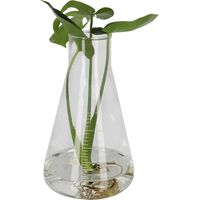 Bouteille Erlenmeyer XXL - Verre Transparent - 18,5 x 18,5 x H 31,7 cm - Livraison gratuite