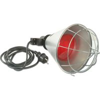 Éleveuse électrique jeunes animaux 175W