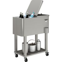 Carro Nevera con Ruedas Abrebotellas y Estante 56L para Patio Fiesta Terraza 67x35x80 cm Gris Claro