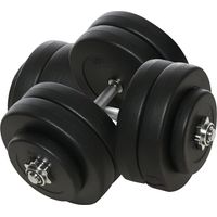 Ensemble d'haltères : 2 disques de 25 kg et 2 disques de 6 pouces avec revêtement plastique, respectueux du sol, noirs.