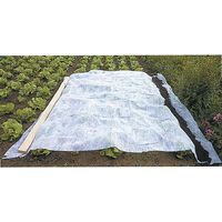 Werka Pro – Voile d'hivernage blanc 60g/m² – Protection cultures 2 x 10m – Pour extérieur – Résistant aux intempéries - PRO 2 X