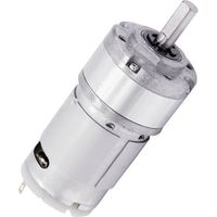 Motoréducteur c.c Drive System Europe by MSW DSMP320-24-0189-BF 024311 24 V 0.25 A 0.69 Nm 28 tr/min Diamètre de l'arbr