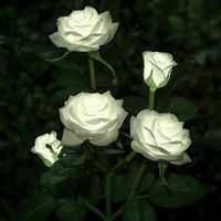 LED Solar Rose Flower Lights Outdoor Garden Decoration for Yard Patio Grave Cemetery Balcony Christmas Decor - White
