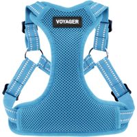 Voyager Verstellbares Hundegeschirr mit Reflektorstreifen by Best Pet Supplies - Strapazierfähige Ganzkörperweste ohne Zugkraft mit Leinen-D-Ring, atmungsaktiv, Babyblau, size M