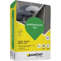 Weber Saint-Gobain Joints minces carrelage mural, blanc pur 25 kg - Weber Weberjoint fin