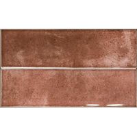 Faïence SHALLOW TERRA 6,4x22,3 cm - 0,68m²