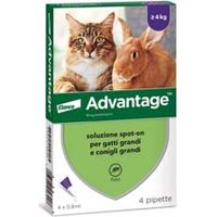 ANTIPARASSITARIO ADVANTAGE PER GATTI E CONIGLI OLTRE KG.4 in conf. da 4 pipette SPOTON ADVANTAGE