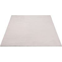 FLOORNOVO Hochflor Teppich Beige einfarbig - 340 x 240 cm - Besonders Weicher Teppich Wohnzimmer & Badezimmerteppich - Pflegeleicht - vielseitig einsetzbar im Innenbereich