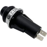 Bouton-poussoir/interrupteur de remplacement pour briquet Weber compatible avec Weber Spirit E/