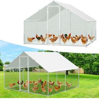 TolleTour Recinto 3×3×2 m – Pollaio in metallo accessibile, superficie di 9 m², porta con serratura, parco esterno per polli, piccoli animali e piante