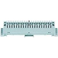 Corning LSA-Plus2 Trennleiste DE620045745