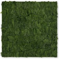 JANGAL Modular Wall Akustik 3D Paneele 520 x 520 mm Dark Green Moos Moos Pflanzenwand Paneele Echtmoos