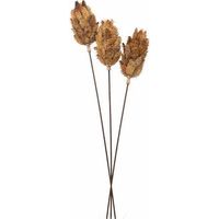 Bouquet of Dried Protea Artificial Plant - L12 x W12 x H60 cm