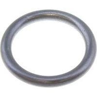 Glow-Worm 20018487 O-Ring Genuine Replacement Spare Part