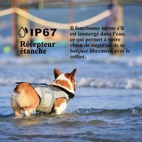 Meloive Collier de Dressage pour Chiens Rechargeable et IP67 Étanche avec Distance de 800m avec 99 Niveaux de Mode Vibration, Choc Electrique, Sonore.