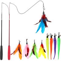 Cat Toys for Indoor Cats, Interactive Cat Toy 2PCS Retractable Wand Toy and 9PCS Cat Feather Toys Refills, Funny Kitten Toys Cat Fishing Pole Toy for Bored Indoor Cats Chase and Exercis