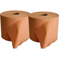 Lot 2 Bobines Chamois Ouate Essuyage Recyclee 2 Plis - 1000 Formats 22x30 cm - Resistante Humide - Atelier
