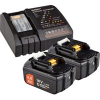 WS24 Akku Starter-Set 18 V / 2x 4,0 Ah Akku + Schnellladegerät