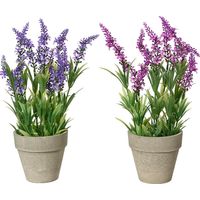 VASO CON LAVANDA D.11XH31CM IN PLASTICA 2COL ASS.