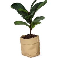 Pot en céramique monobloc – avec trous de drainage, convient aux cactus et aux plantes succulentes pot de fleurs d'extérieur en céramique aménagement paysager minimaliste texture papier kraft.
