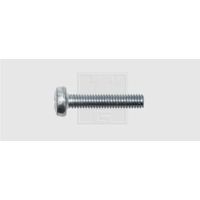 SWG 4009146052030 Gewindeschrauben-Sortiment M4 25 mm Kreuzschlitz Phillips DIN 7985 Stahl verzin