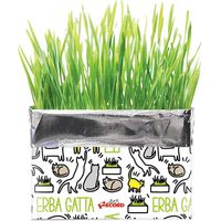 Erba gatta Katty per gatti confezione da 120 g