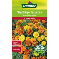 Dehner - Sementi per Fiori Bonita Mischung, Confezione da 5 (5 x 1,3 g)