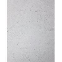 Muriva Cemented Wall Silver Wallpaper Industrial Concrete Stone Light Grey