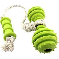 1 jouet de nettoyage des dents