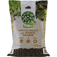 Terreau pour succulentes Torfy Bio 10lt Cifo