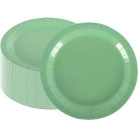 Lot de 100 Assiettes Carton Vert Sauge 23cm Rondes Fêtes Mariages Jardin